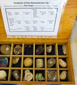 271020 Nature Education 2