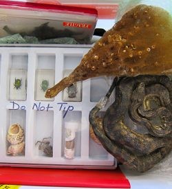 271020 Nature Education 3