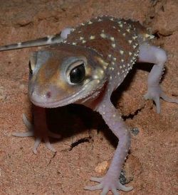 271020 Nature Education 4