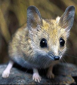 271020 Nature Education 5