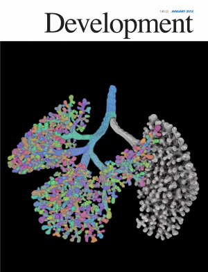 290621 Mark Hodson 5