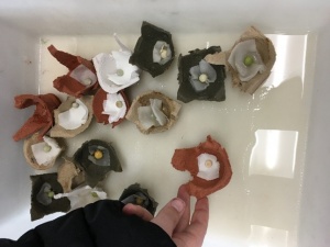 100921 Roma Mitchell 1