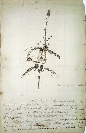 Mary Anning Plesiosaur