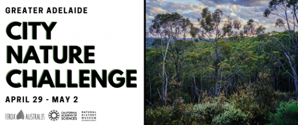 City Nature Challenge