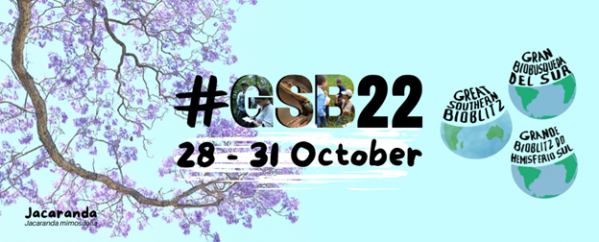 GSB22