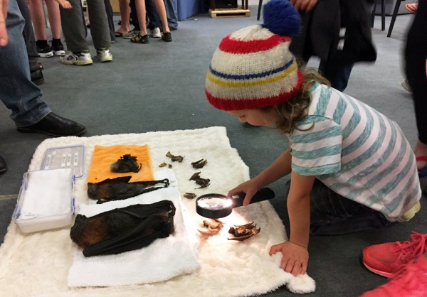 Junior Field Naturalists 3