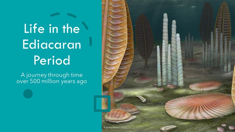 Ediacaran Unit