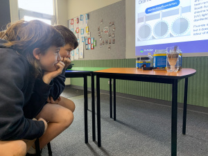 Mount Gambier High School 2