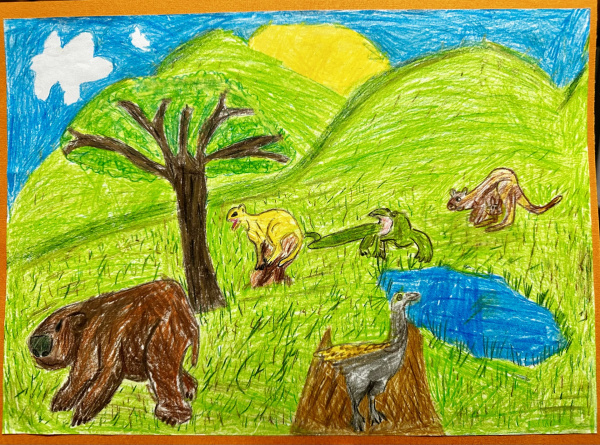 Year 2 Christopher Jacobs