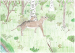 Year 6 Taylor England Thylacine